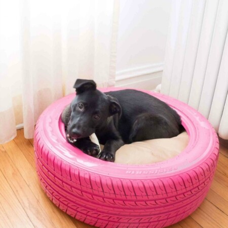 DIY-Dog-Bed-made From-A-Tire