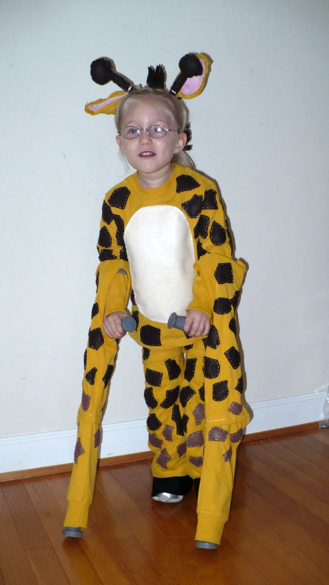 37 Homemade Animal Costumes - C.R.A.F.T.