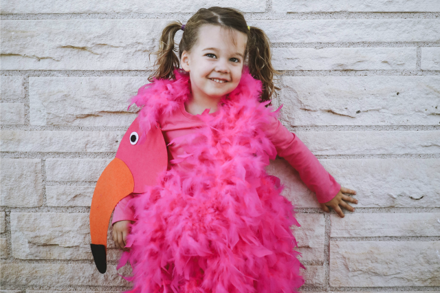 DIY Flamingo costume - C.R.A.F.T.