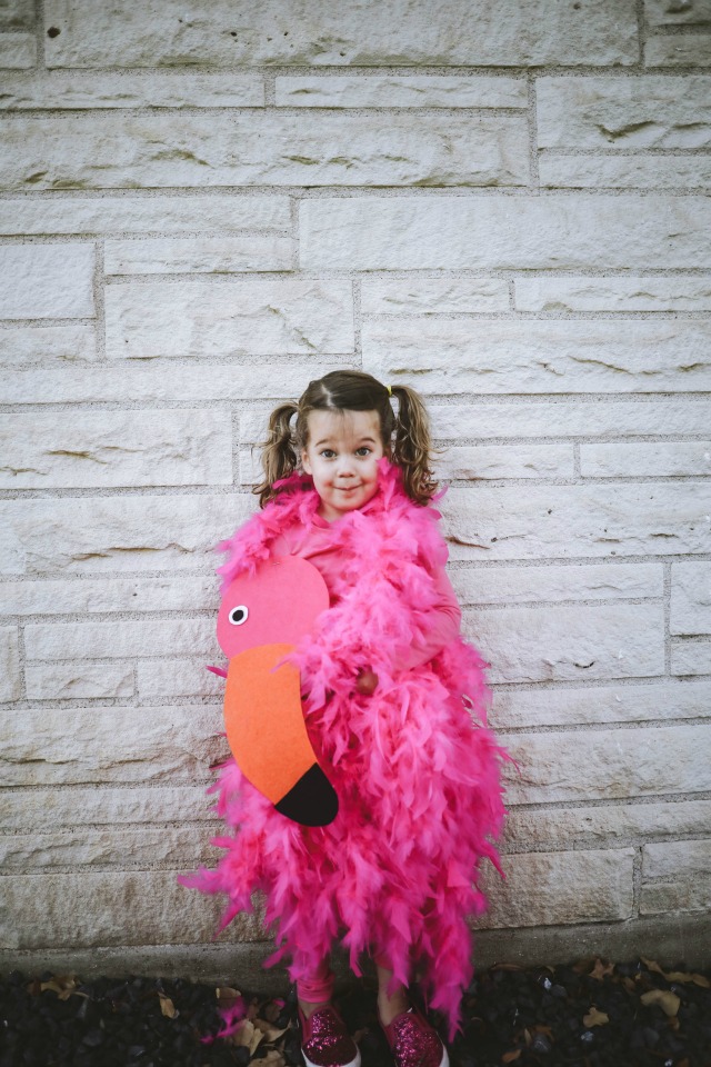 Flamingo Pink Bird Tropical Animal Fancy Dress Up Halloween Baby Child  Costume 