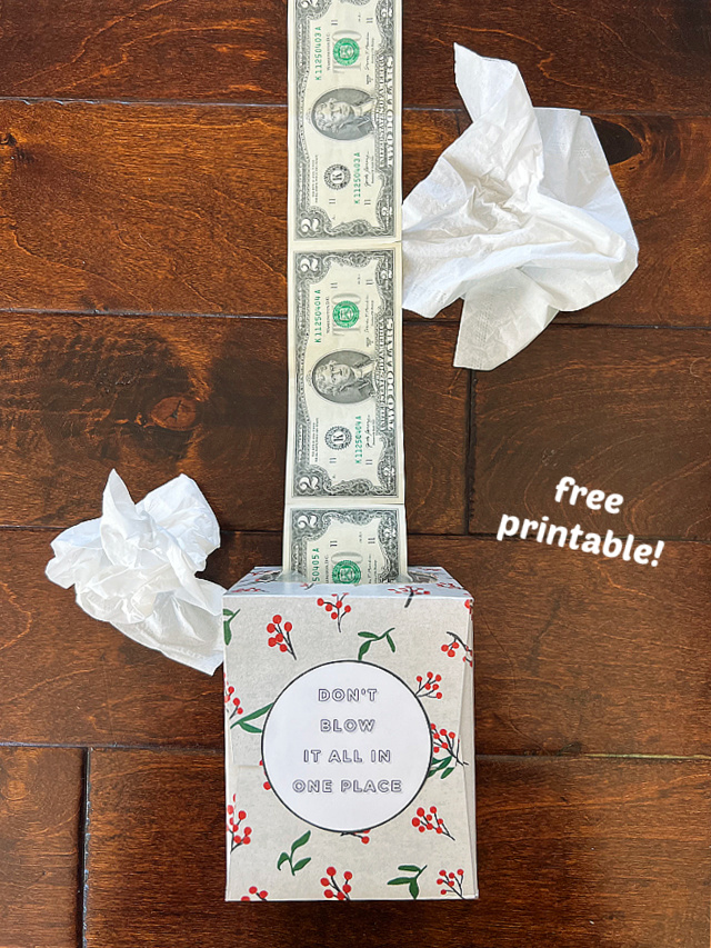 Our Little Backyard Farm: Fun Way to Give Cash as a present